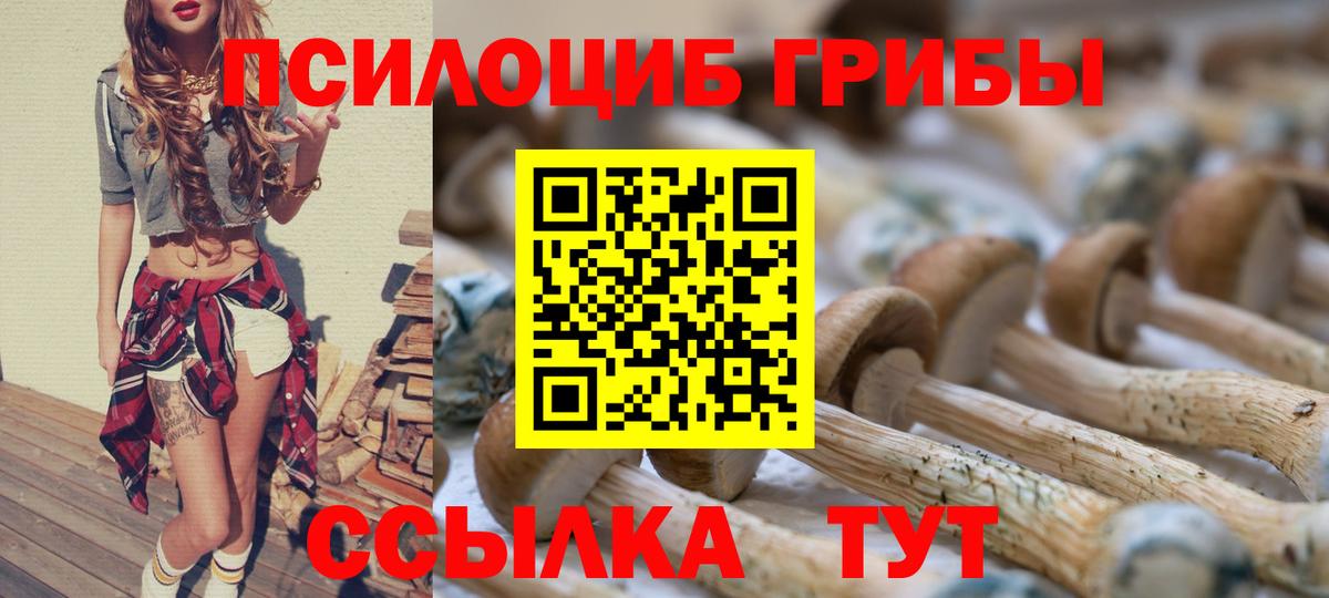 Псилоцибиновые грибы Cubensis  Вход с VPN  Углич 