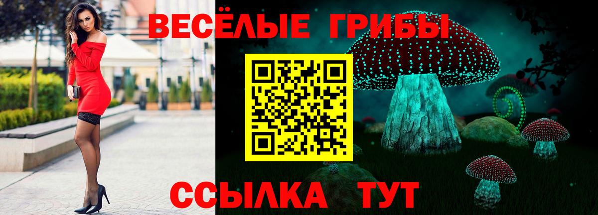 Галлюциногенные грибы MAGIC MUSHROOMS Углич